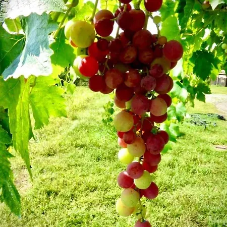 Parco Campofelice Lombardore