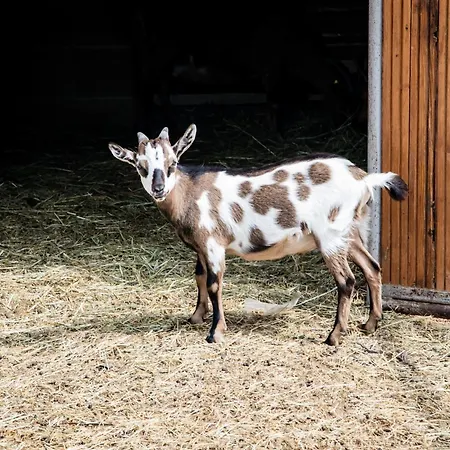 Parco Campofelice 3* Lombardore