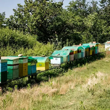 Parco Campofelice Lombardore
