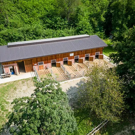 Bed and Breakfast Agriturismo Parco Campofelice *
