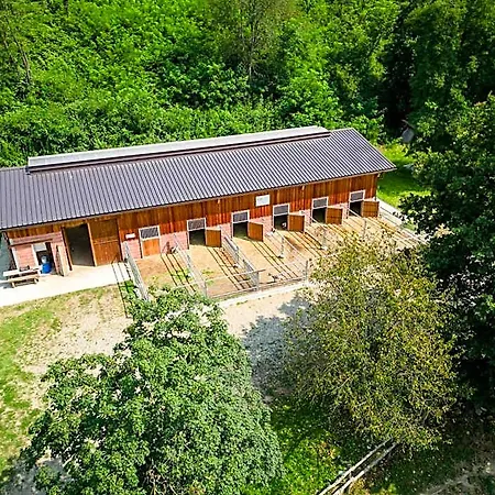 Parco Campofelice Bed & Breakfast