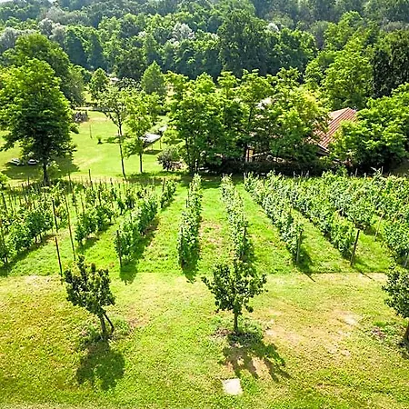 Parco Campofelice Bed & Breakfast Lombardore
