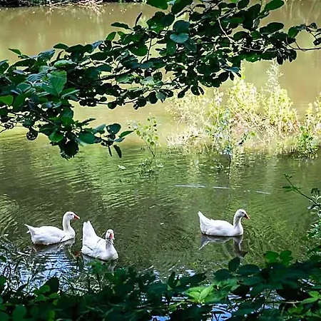 Parco Campofelice 3* Lombardore