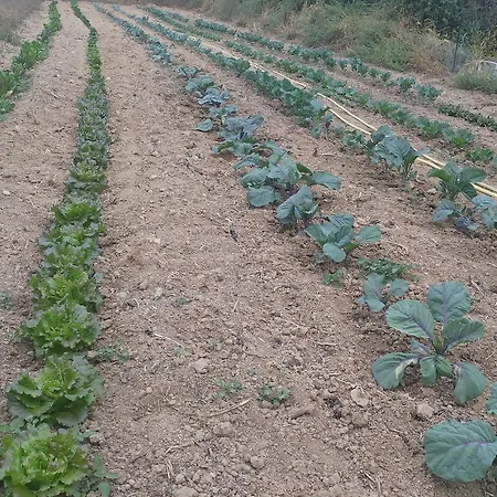 Parco Campofelice ベッド・アンド・ブレックファスト 3*