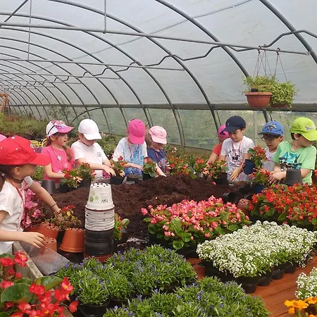 Parco Campofelice 3*