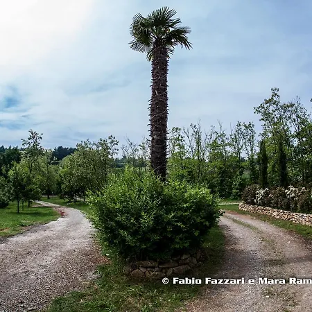 Bed and Breakfast Agriturismo Parco Campofelice 3*