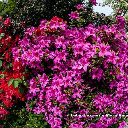 ベッド・アンド・ブレックファスト Parco Campofelice Lombardore