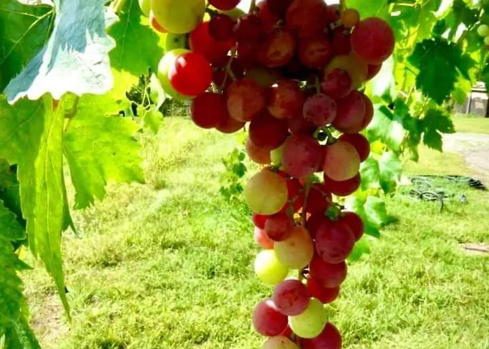 Parco Campofelice Lombardore