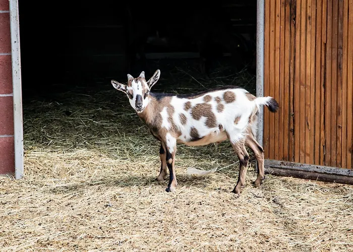 Parco Campofelice 3* Lombardore