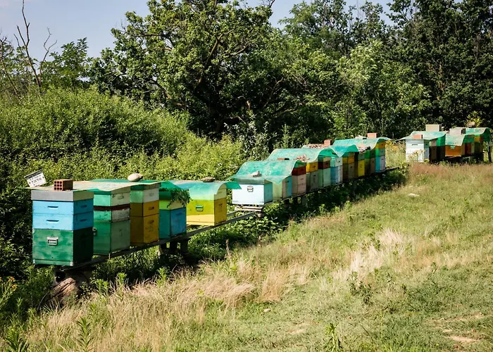 Parco Campofelice Lombardore