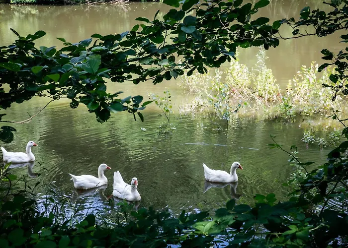 Parco Campofelice 3* Lombardore