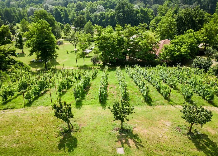 Parco Campofelice 3*