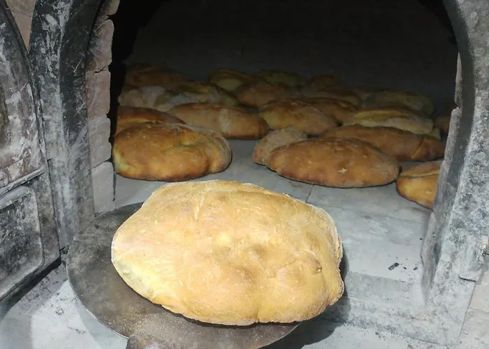 Parco Campofelice Bed and breakfast