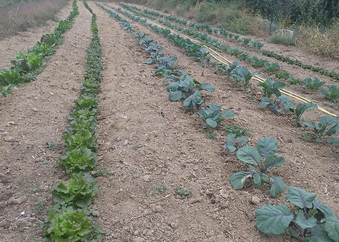 Parco Campofelice Bed and breakfast 3*