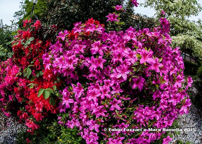 Bed and breakfast Parco Campofelice Lombardore